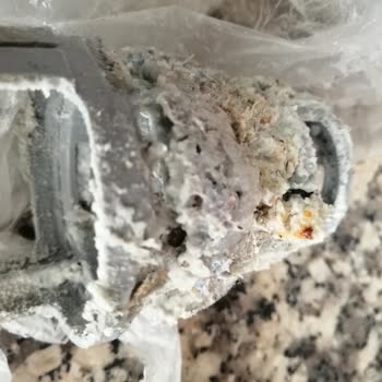 Altus Taleplerimin Yerine Getirilmemesi