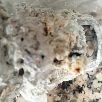 Altus Taleplerimin Yerine Getirilmemesi