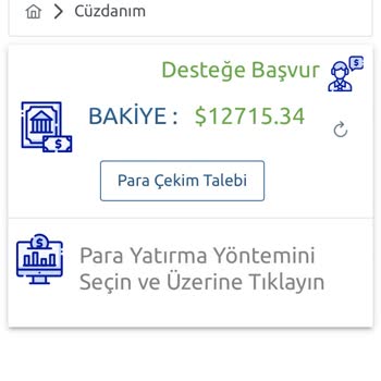 Interpro Global Hesabıma Hiçbir Şekilde Müdahale Edemiyorum Ve Paramı Çekemiyorum