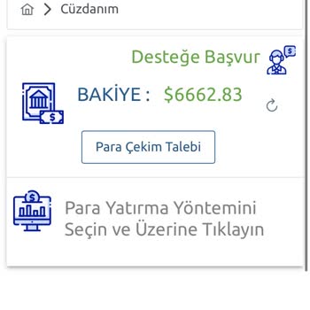 Interpro Global Hesabıma Hiçbir Şekilde Müdahale Edemiyorum Ve Paramı Çekemiyorum