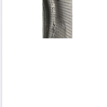 Bridgestone Lastik Garantisi Şikayeti