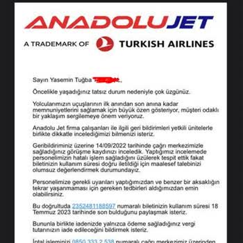 THY Tarafından İptal Edilen Uçuşun İade Edilmemesi, Bilet Verilmemesi