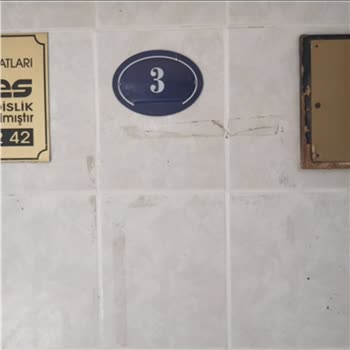 Scotty Kargo Şirketinin Adrese Gelip Vermeden Gitmesi