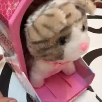 Toyzz Shop Ayıplı Mal Satıyor!