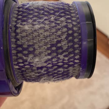 Dyson V15 Süpürge Filtresinde Küf Kokusu