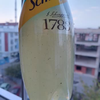 Schweppes Şişesindeki Ayıplı Ürün