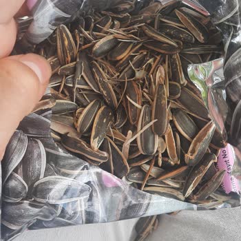 Gold Harvest Kuruyemiş İçi Boş Çekirdek