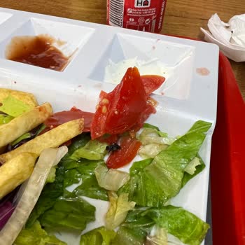 Berlin Döner Verdiğim Siparişte Sinek Çıktı