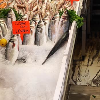 Kent A. Ş. Tesisleri Bostanlı Park Balık Ücreti