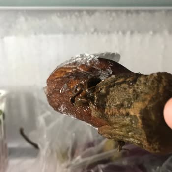 Altus Buzdolabı Buzlanıp Sebzeleri Kısa Sürede Bozuyor