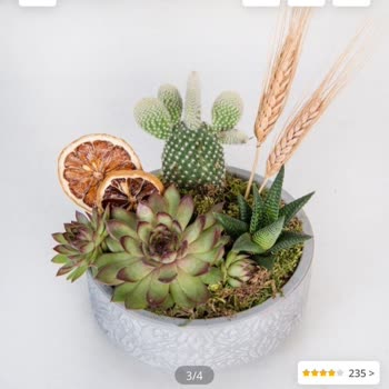 Çiçek Sepeti  Kusurlu Ürün Ve Müşteri Hizmetleri