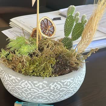 Çiçek Sepeti  Kusurlu Ürün Ve Müşteri Hizmetleri