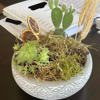 Çiçek Sepeti  Kusurlu Ürün Ve Müşteri Hizmetleri