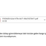 UPS Türkiye İthalat Kargo Şikayet