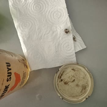 Fide Konserve Tavuk Suyunda Siyahlıklar