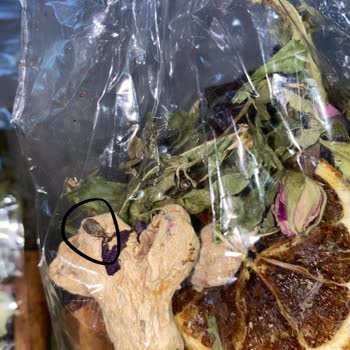 Tuğba Kuruyemiş Çay Kurtlu Böcekli Çıktı