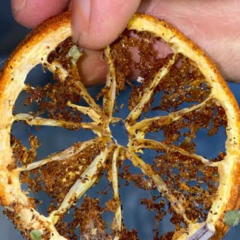 Tuğba Kuruyemiş Çay Kurtlu Böcekli Çıktı