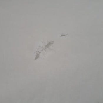 Arçelik Çamaşır Makinesi Sorunu