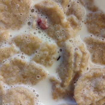 Kellogg's Special Kırmızı Meyveli Gevreğin İçinden Çıkan Böcek