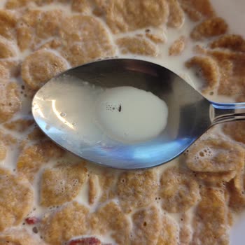 Kellogg's Special Kırmızı Meyveli Gevreğin İçinden Çıkan Böcek