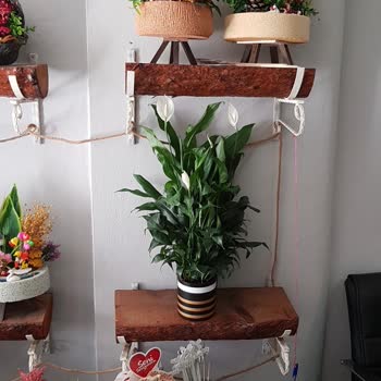 Çiçek Sepeti Kötü Ürün Gönderiyor