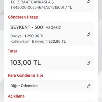 P*****a Burs Eğitim Vakfı'ndan Aldatıcı Para Transferi