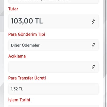 P*****a Burs Eğitim Vakfı'ndan Aldatıcı Para Transferi