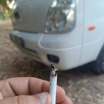 Philip Morris Sigarının İçinden Odun Parçaları Çıkıyor