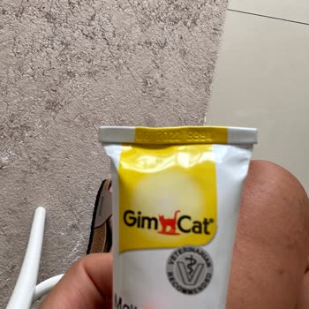 N11 Orijinalliği Şüpheli Gimcat Malt