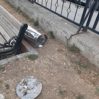 Gümüşhane Belediyesi Gümüşhane Park Sorunları