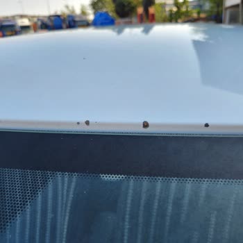 Citroen Marka Aracımda Boya Atması