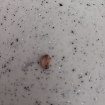 7K Fıstıkçıoğlu Baklavaları Baklavadan Metal Parçası Çıktı