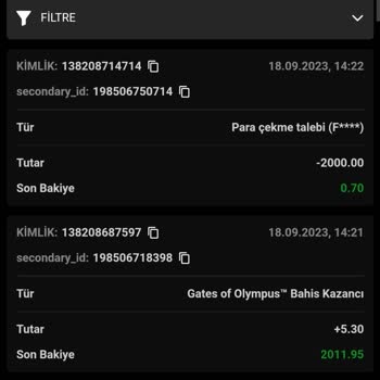 Mobilcasino Site Bahis Kazancı Ödemiyor