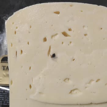 Altınkılıç Olgunlaşmış Eski Kaşar Peynirinden Sinek Çıktı