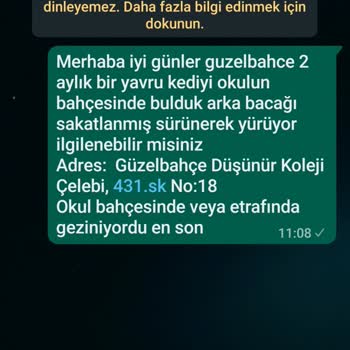 Güzelbahçe Belediyesi Sokak Hayvanlarının Bakımı Yapılmıyor