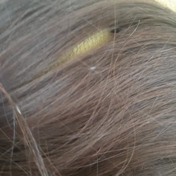 Ada Peruk Ve Üslup Sorunları