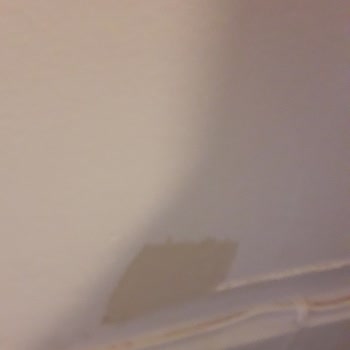 Dyo Boyanın Çıkması Alttan Eski Boyanın Gözükmesi