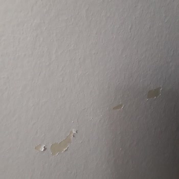 Dyo Boyanın Çıkması Alttan Eski Boyanın Gözükmesi