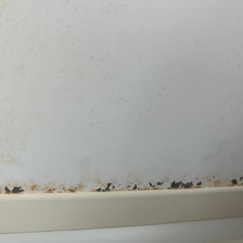 Regal Buzdolabı Kapağı Paslandı