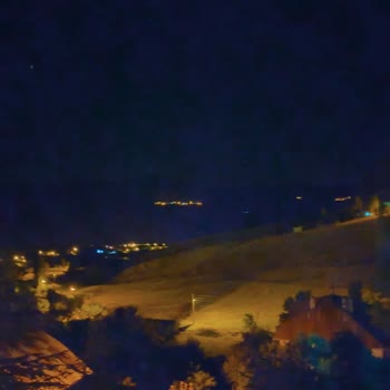 Arızalı Ürün Vivo V29 Lite