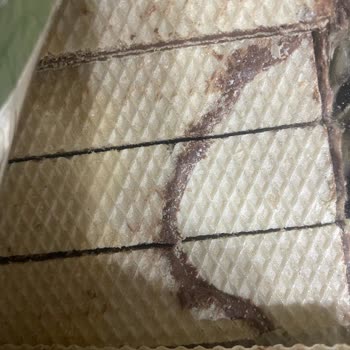 Eti Hoşbeş Gofret Üretim Hatası