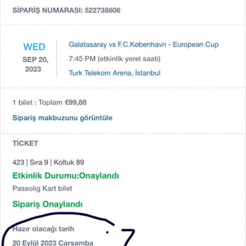 Viagogo Galatasaray / Kopenhag Maç Biletinin Teslim Edilmemesi