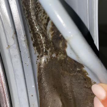 Arçelik Marka Makinemin Lastik Kararması Garanti Kapsamında Değilmiş