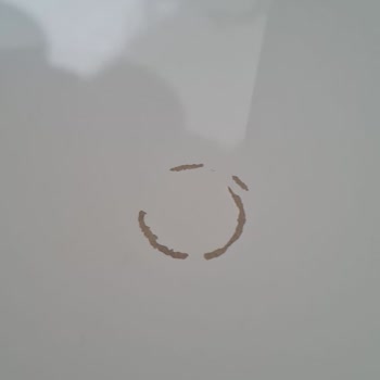 IKEA Çalışma Masası 6. Günde Boyası Kalktı