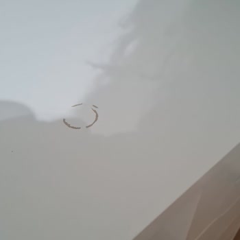 IKEA Çalışma Masası 6. Günde Boyası Kalktı