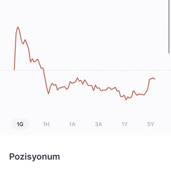 Midas Hisse Sayım Eksik Görünüyor
