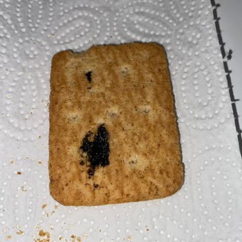 Eti Burçak Bisküvi Bozuk