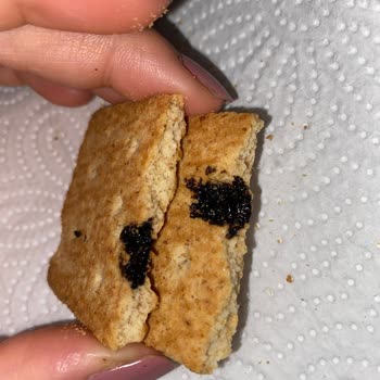 Eti Burçak Bisküvi Bozuk