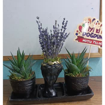 Çiçek Sepeti Deforme Olmuş Ürün