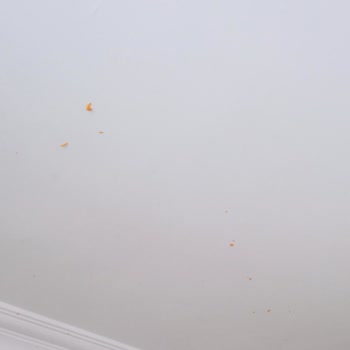 BİM'de Satılan Chef Seasons Burger & Patates Sosu Patladı